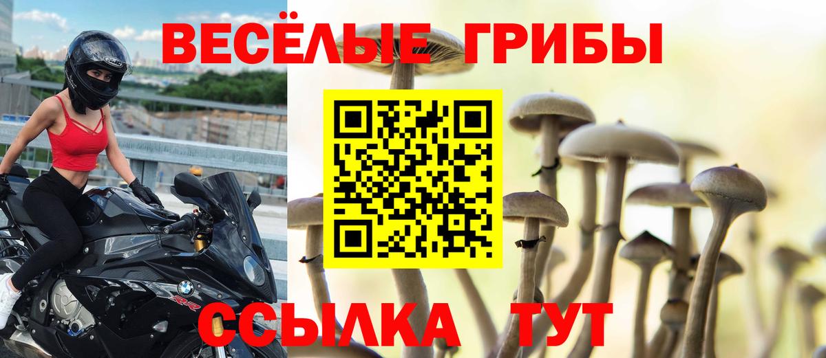 Псилоцибиновые грибы мицелий Химки
